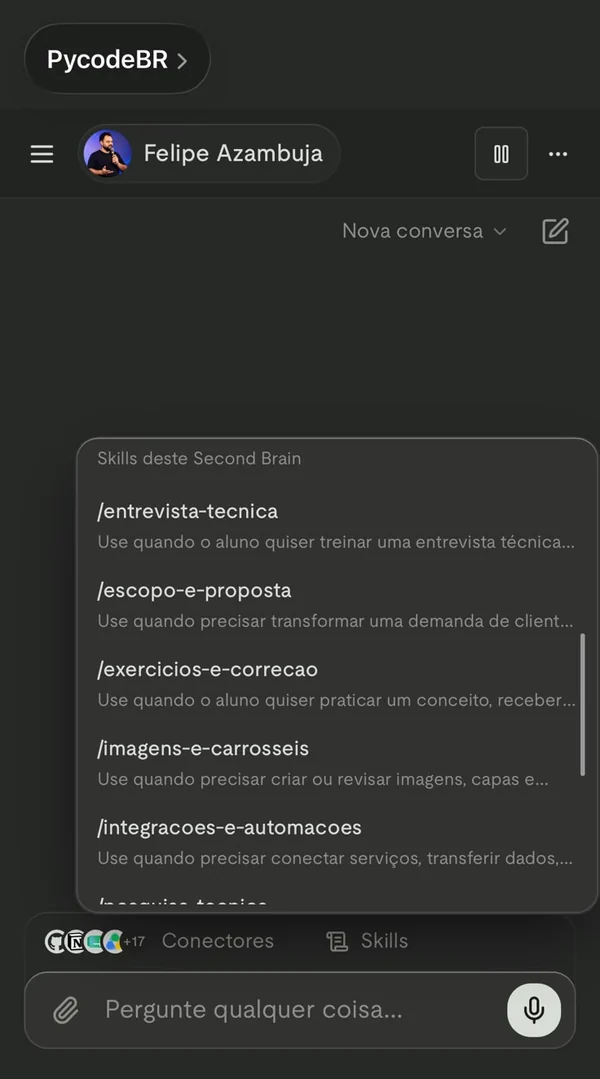 Print da continuação do menu de skills do agente